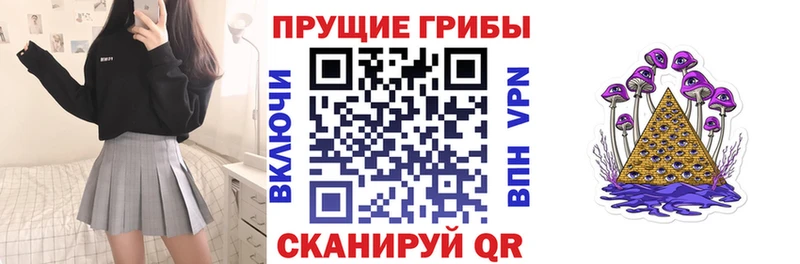 закладка  Кисловодск  Галлюциногенные грибы MAGIC MUSHROOMS 