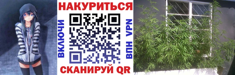 Бошки Шишки сатива  Кисловодск 