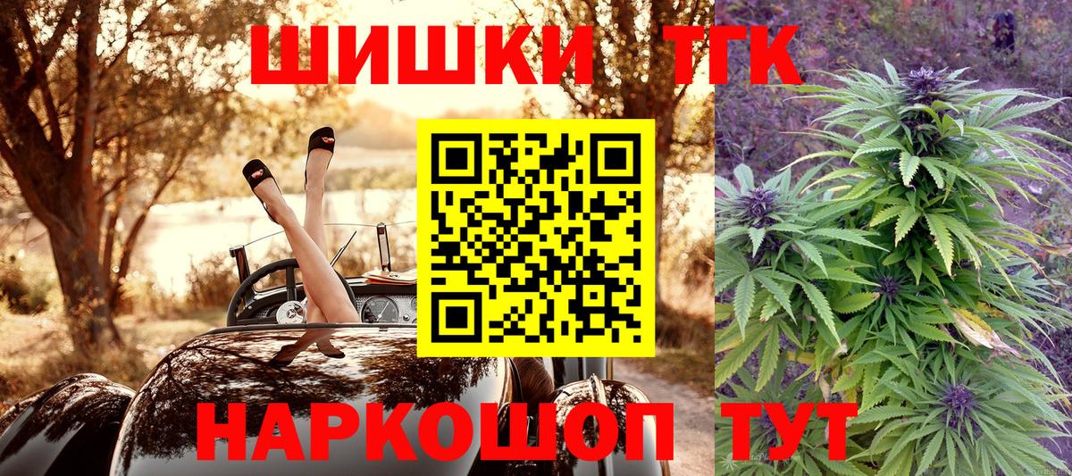 Каннабис конопля Кисловодск
